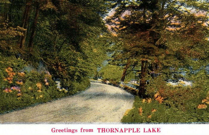 Reids Resort Thornapple Lake (Coles Landing) - OLD POSTCARD